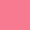 Sun Kissed Coral Sun Kissed Coral