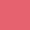 Sun Kissed Coral Sun Kissed Coral